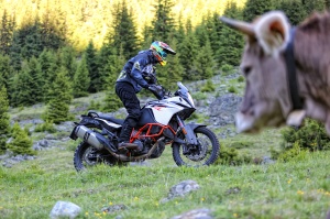 KTM 1090 Adventure_0892_170613_180359